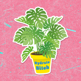BIG Hydrate Plant Vinyl Sticker